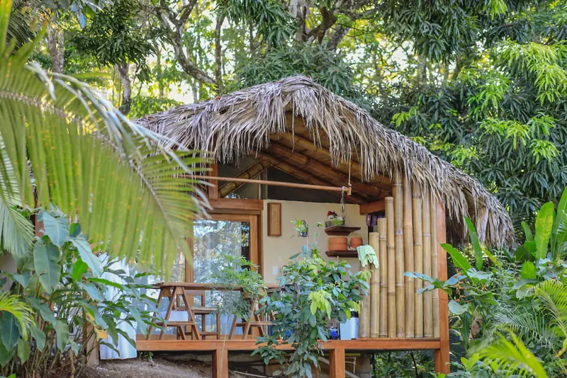 Thatched-roof wooden bungalow on a raised deck surrounded by tropical plants and trees, with a table on the porch