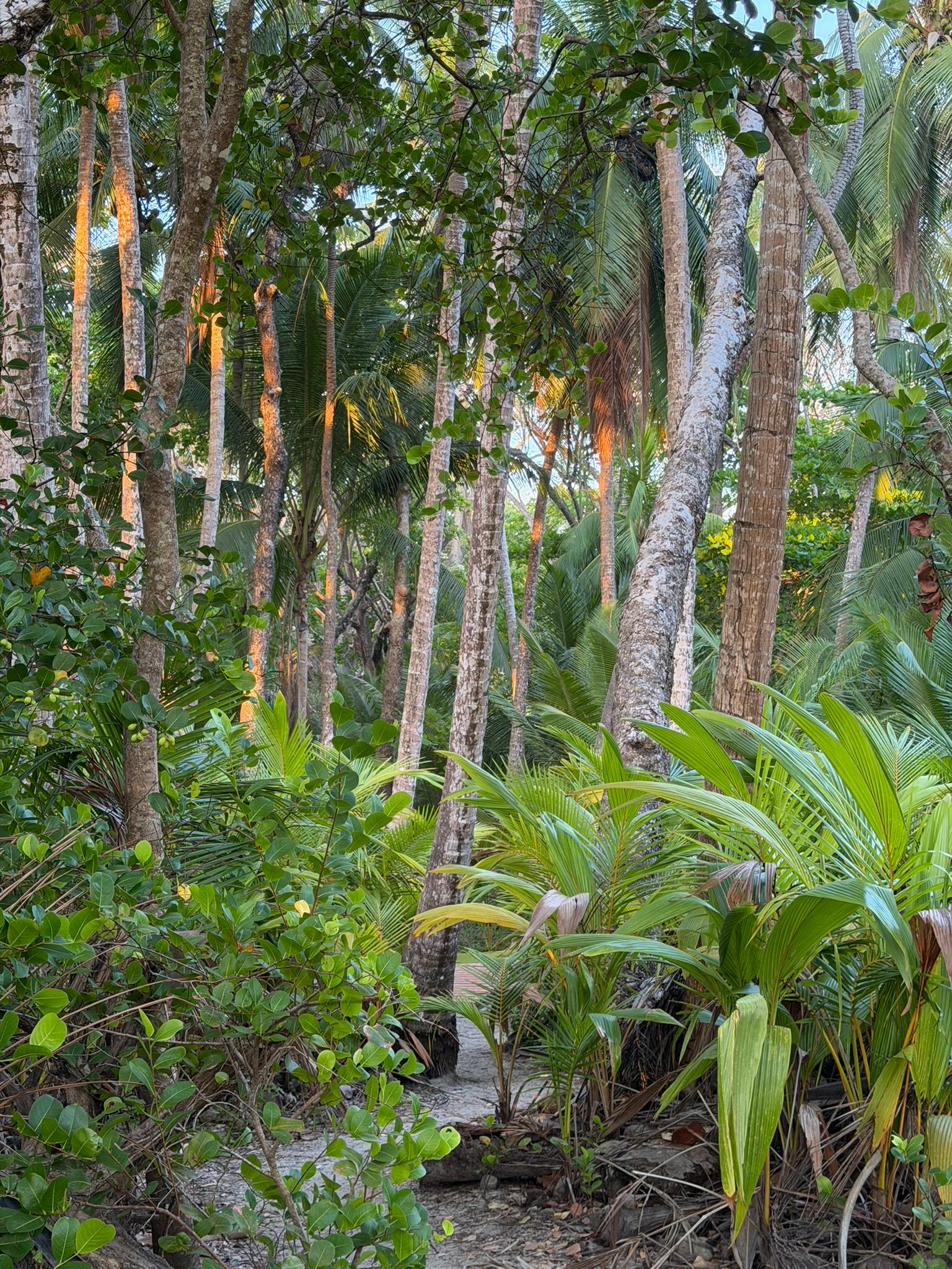 Manzanillo, Costa Rica