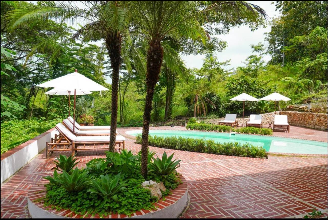 Pool on a brick deck with sun loungers and umbrellas, surrounded by palms and tropical forest