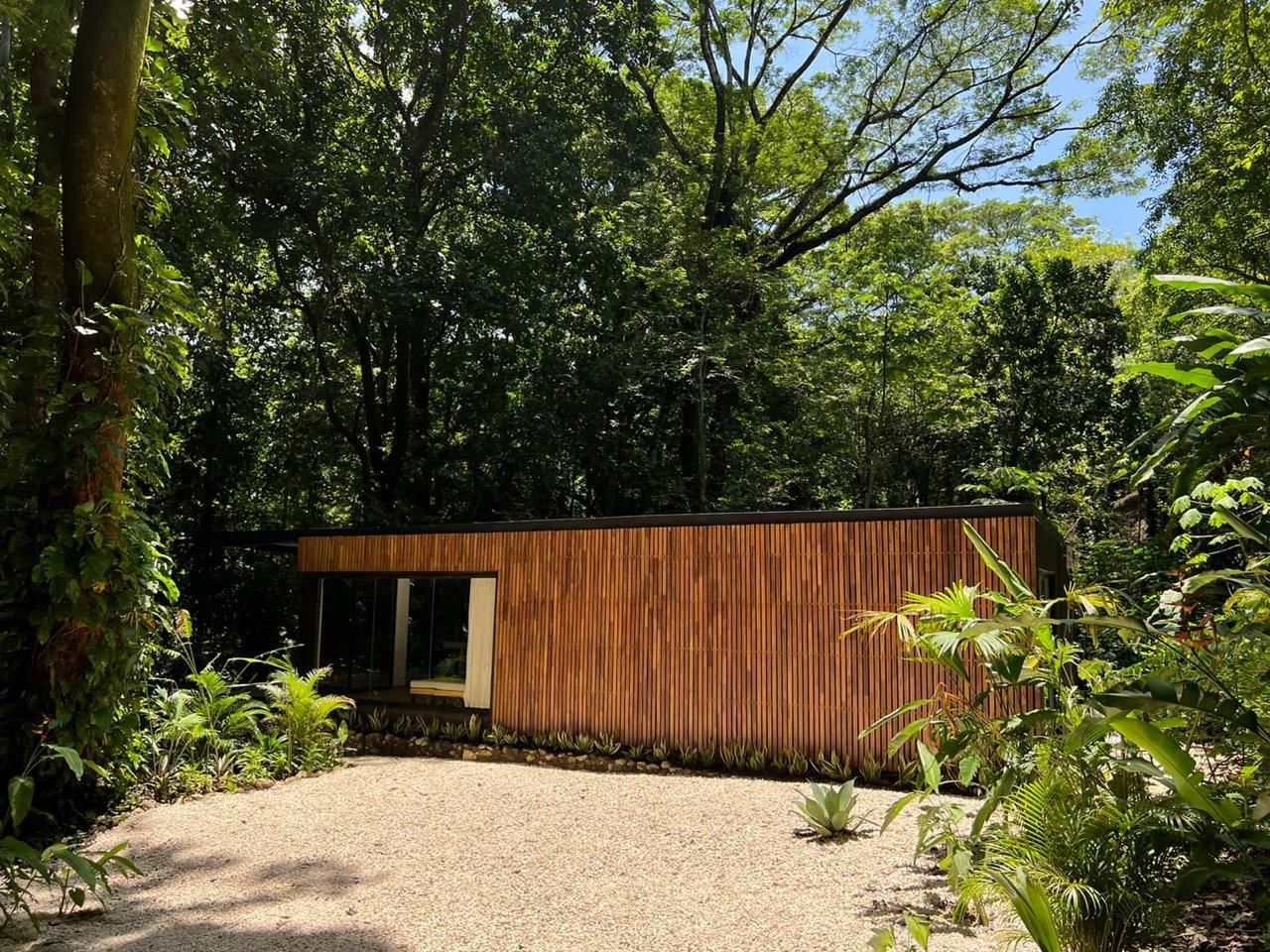 Single-storey house with wooden slat cladding and glass doors, set among tall trees with a gravel drive
