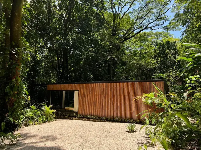 Single-storey house with wooden slat cladding and glass doors, set among tall trees with a gravel drive
