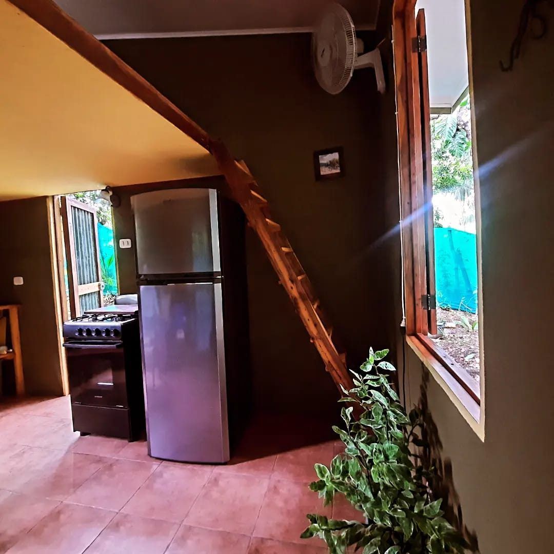 Studio corner with a fridge, gas stove with oven, wall fan and a wooden ladder up to a sleeping loft