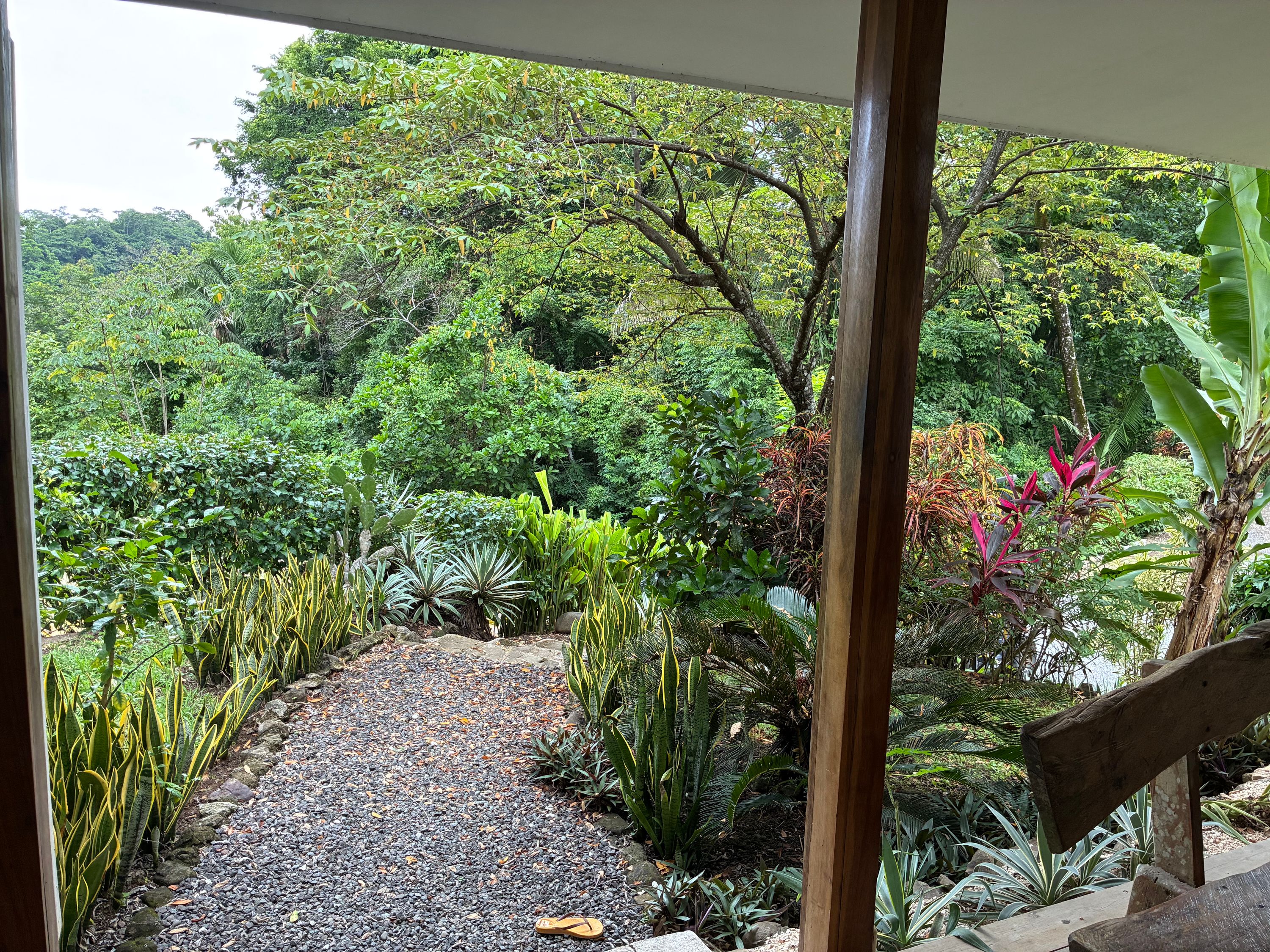 Casa Blue photo 1