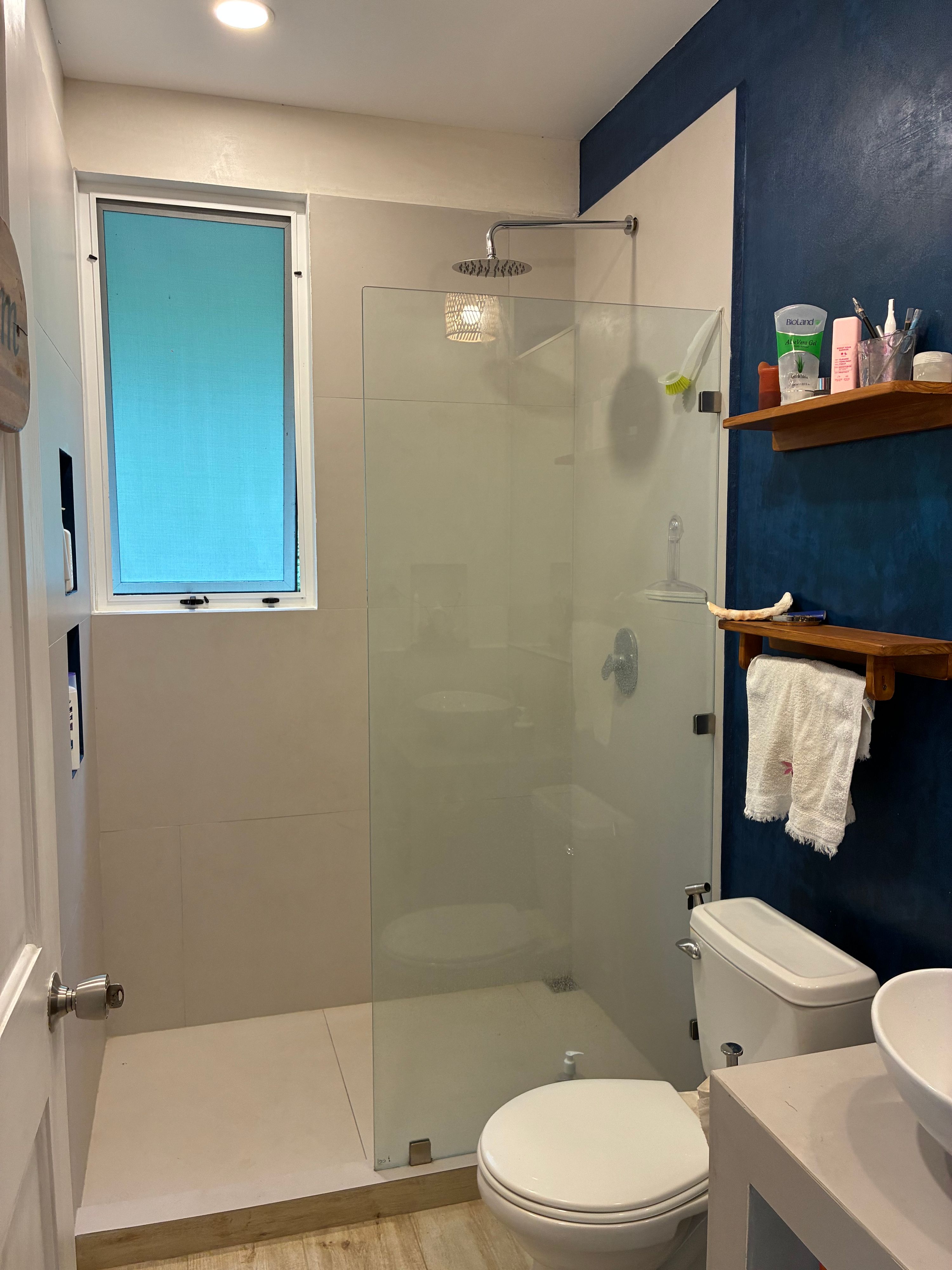 Casa Blue photo 4