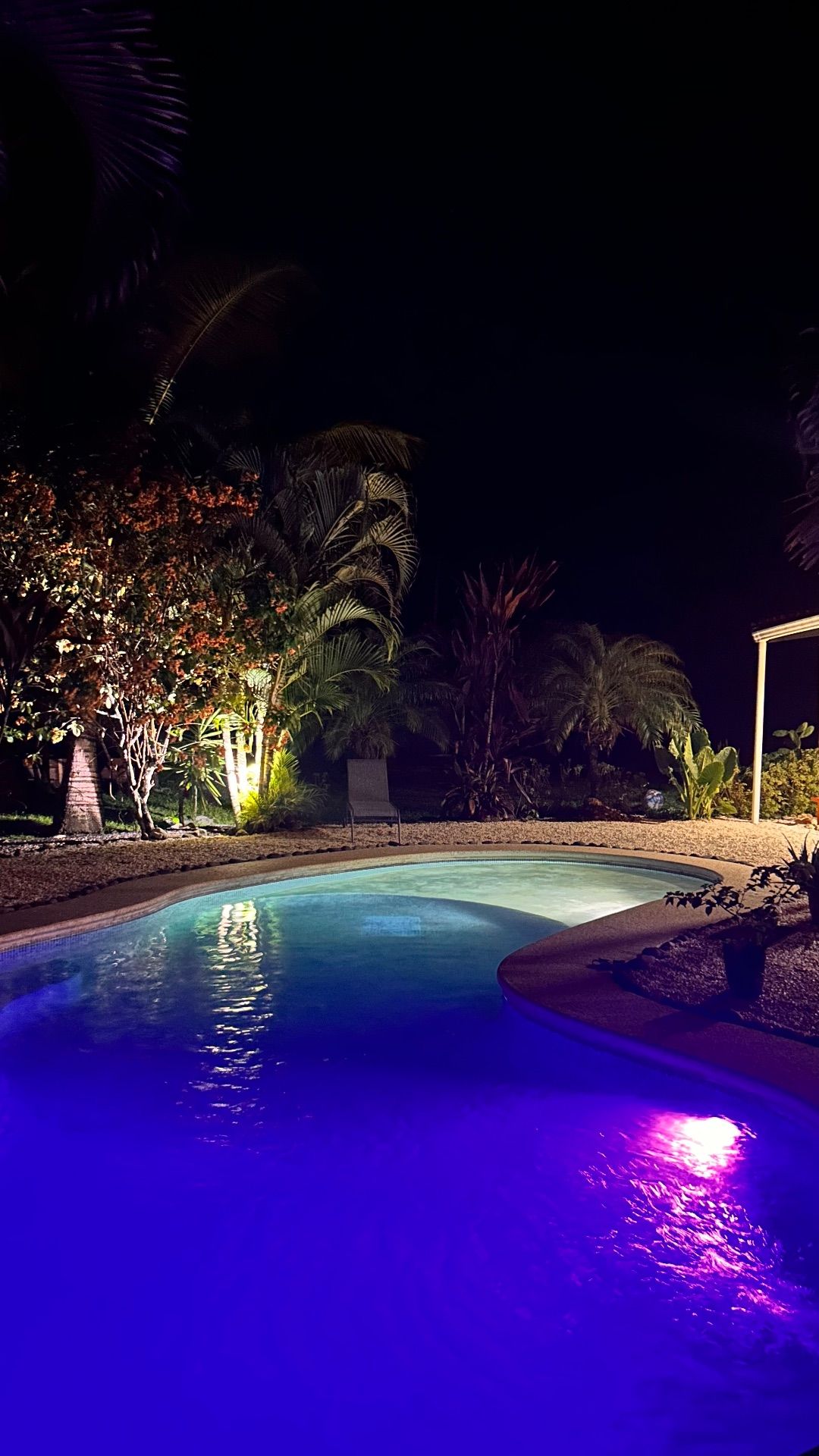 Curved swimming pool lit at night, surrounded by gravel, palms and lit tropical plants with a lounge chair